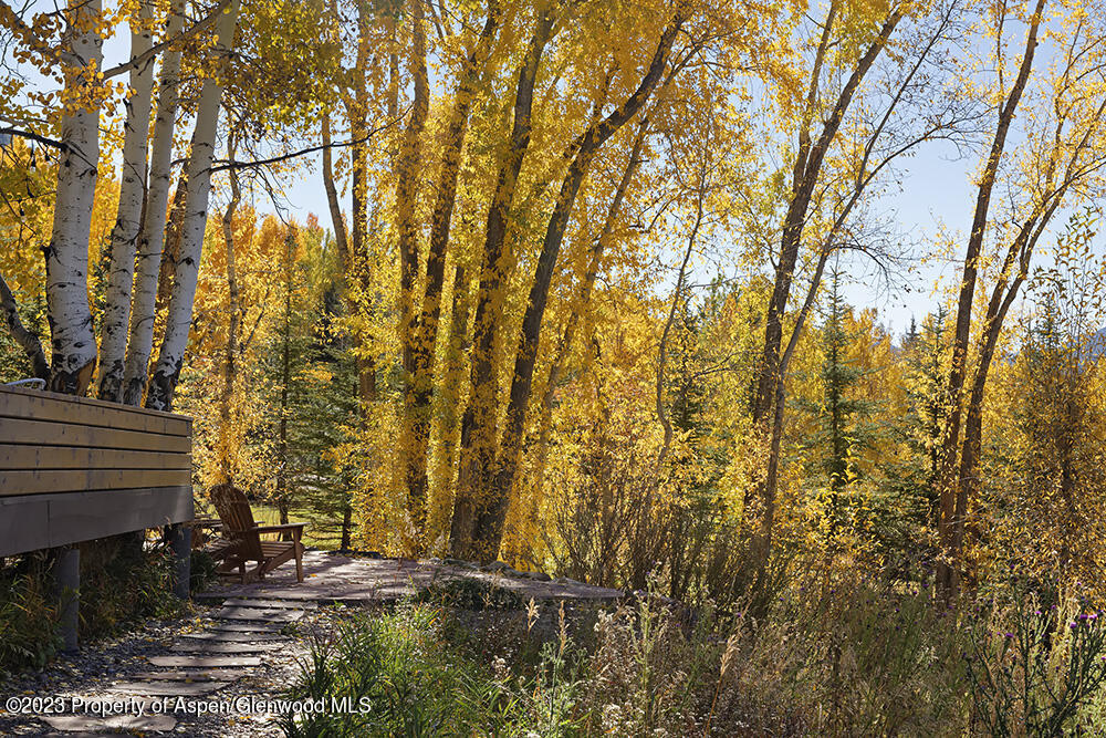 1036 Red Mountain Road Aspen, CO 81611 - Photo 30 of 37 a view of tree and wooden fence