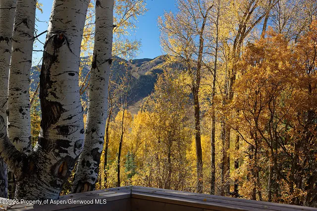 a view of a large building