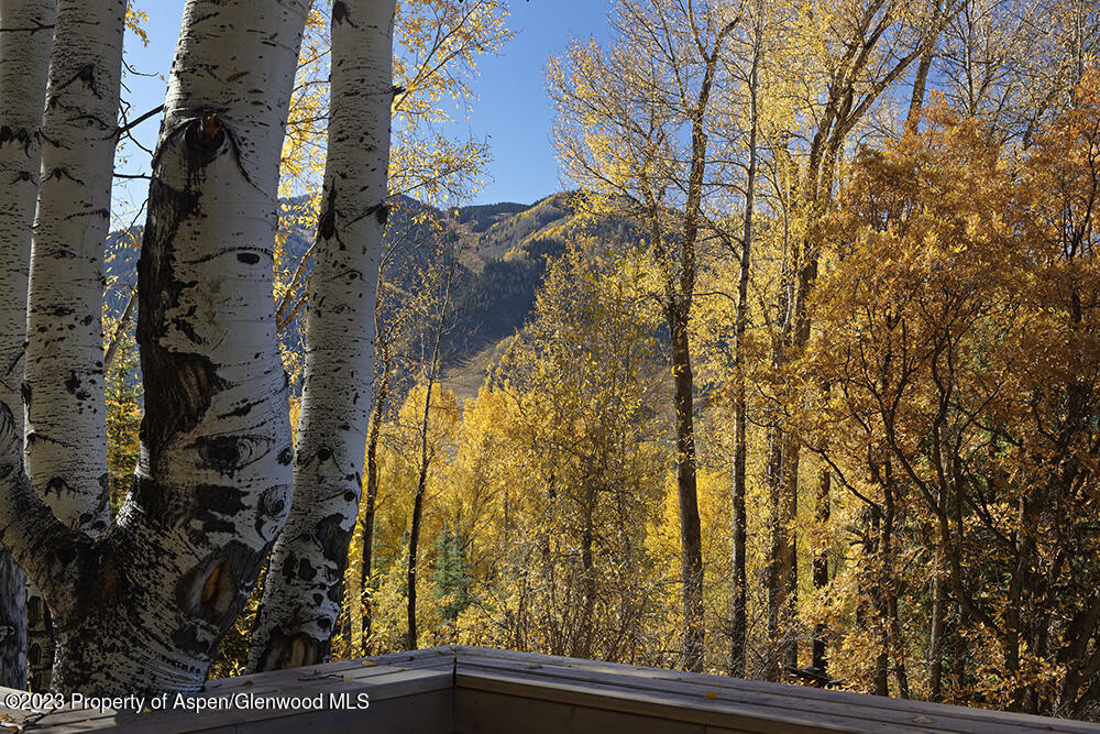 1036 Red Mountain Road Aspen, CO 81611 - Photo 32 of 37