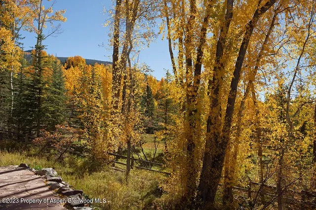 $22,000 | 1036 Red Mountain Road, Aspen, CO 81611