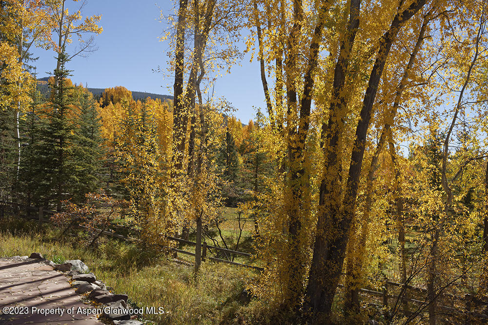 1036 Red Mountain Road Aspen, CO 81611 - Photo 35 of 37