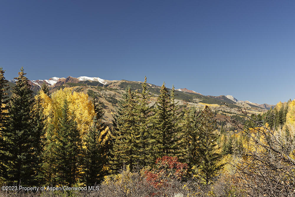 1036 Red Mountain Road Aspen, CO 81611 - Photo 37 of 37 a view of a field