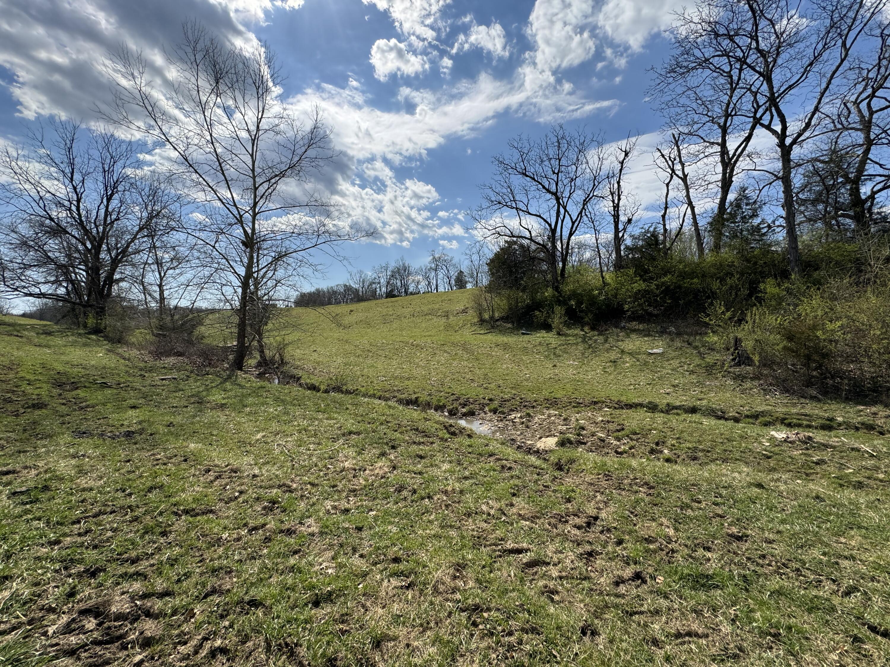 0 Butler Branch Road Flemingsburg, KY 41041 - Photo 6 of 26 IMG_1201