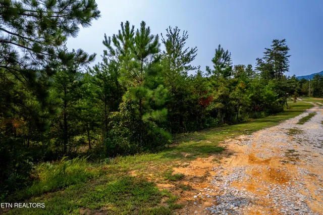 $380,000 | 750 Shadden Road, Tellico Plains, TN 37385