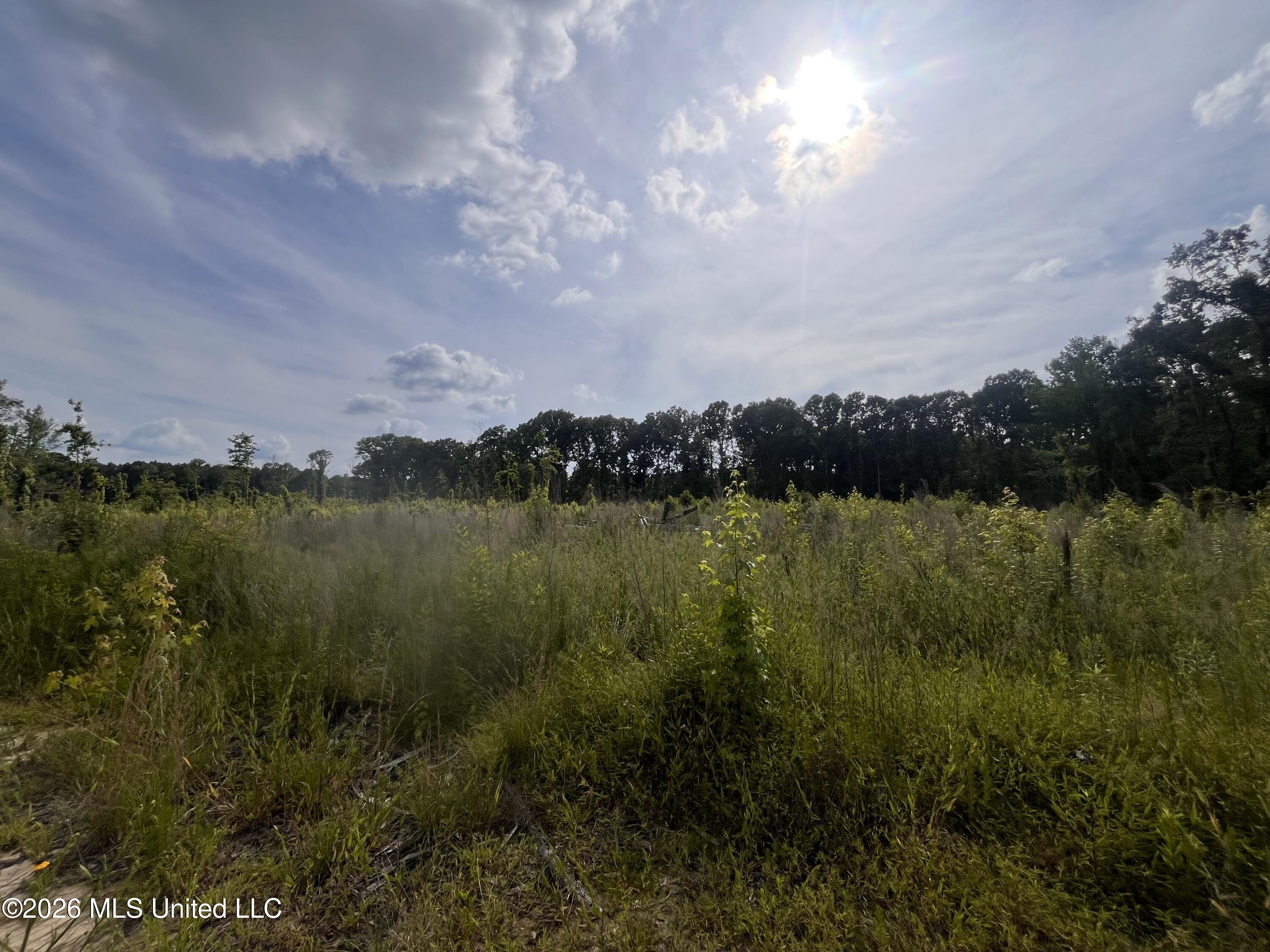 0 Pettey Road Forest, MS 39074 - Photo 7 of 15 IMG_4076
