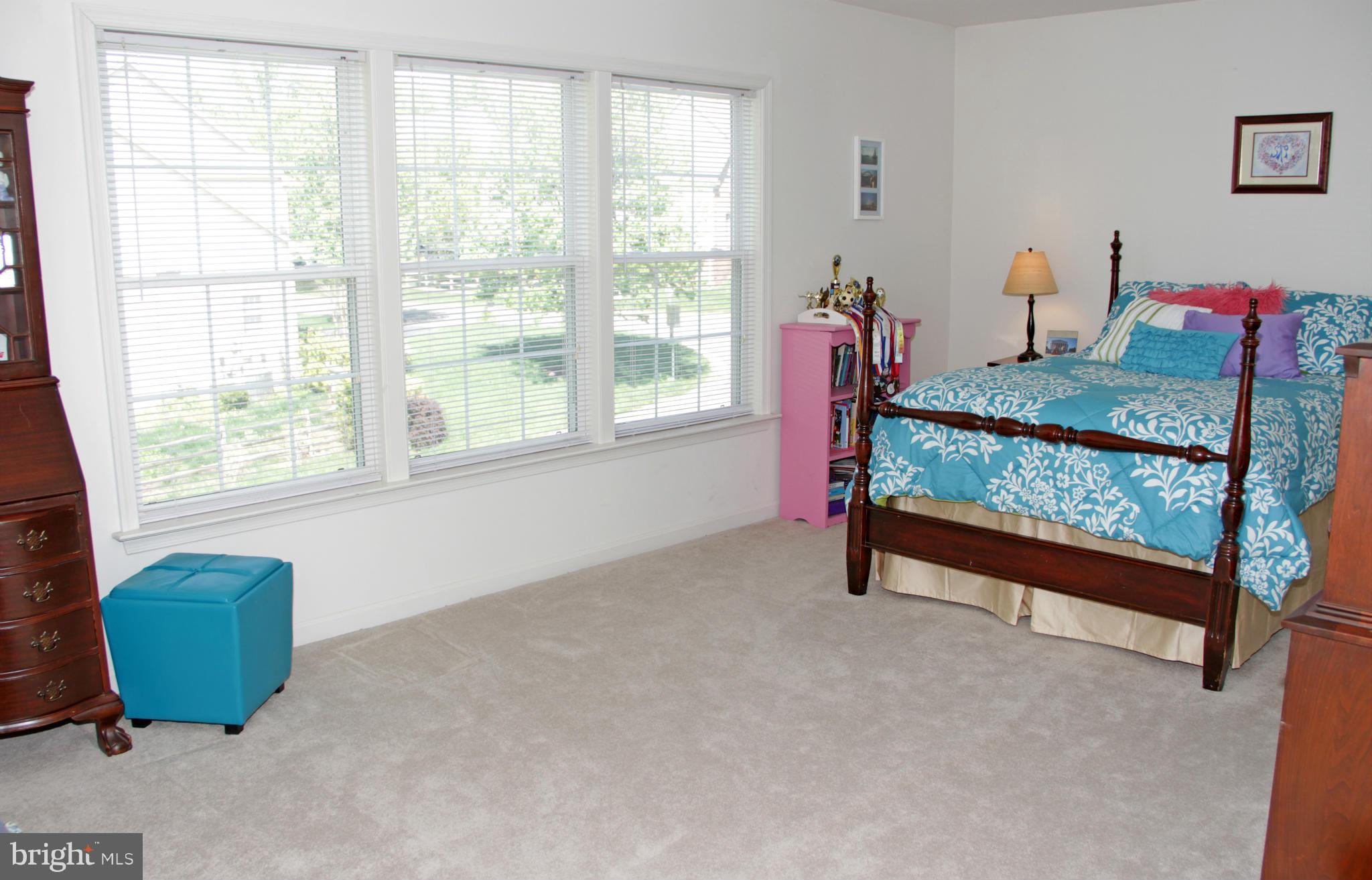 47551 Rippling Drive Sterling, VA 20165 - Photo 21 of 30 Large 2nd Bedroom with Walk-in Closet