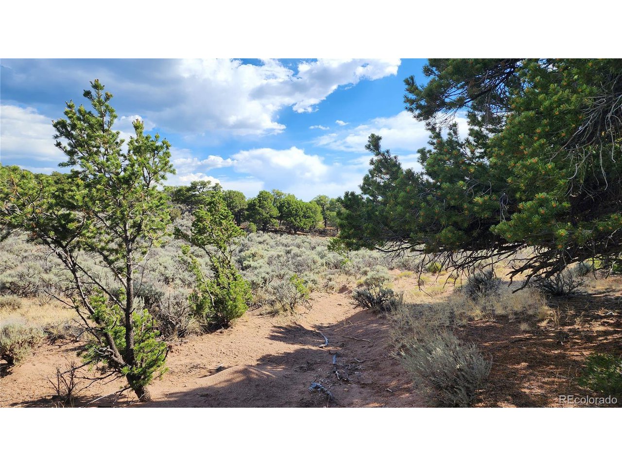 7071 Cutter Road Fort Garland, CO 81133 - Photo 15 of 28 Gallery Image 15