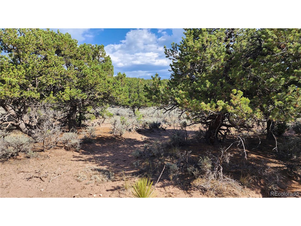 7071 Cutter Road Fort Garland, CO 81133 - Photo 17 of 28 Gallery Image 17