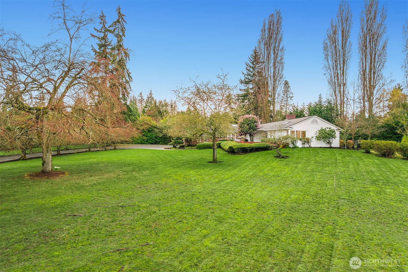 6 Diamond Ranch South Bellevue, WA 98004 - Photo 6 of 40