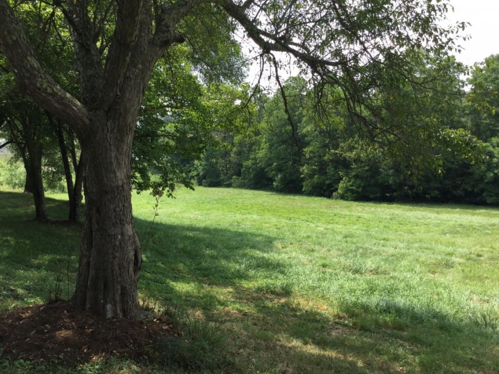 22287 Benhams Road Bristol, VA 24202 - Photo 15 of 18 Photo 15