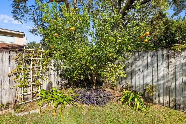 a backyard of a house with large trees and plants