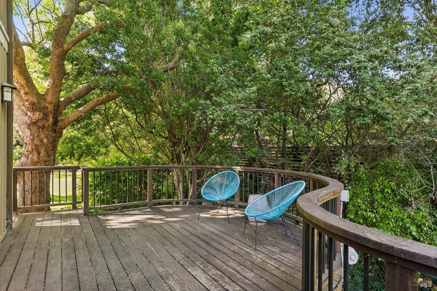 230 Summit Avenue San Rafael, CA 94901 - Photo 32 of 57