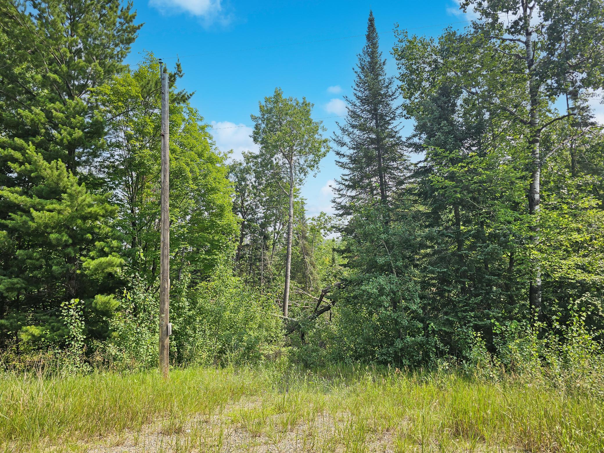 Tbd Tbd Hackensack, MN 56452 - Photo 3 of 13