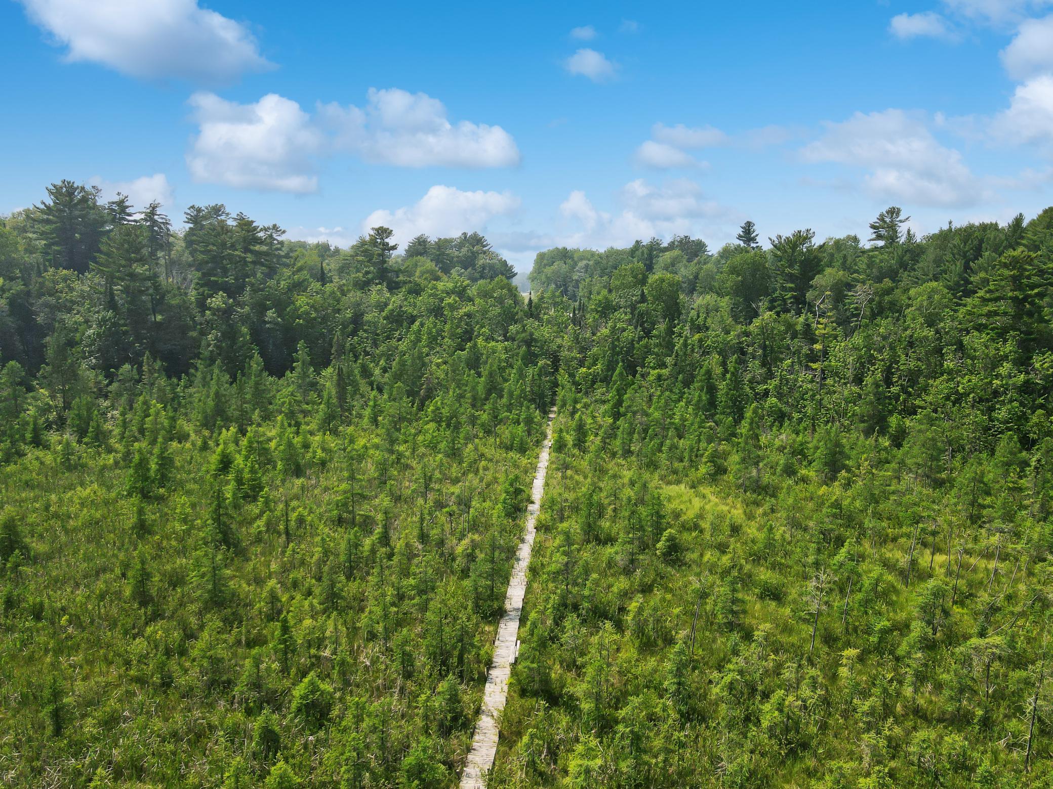 Tbd Tbd Hackensack, MN 56452 - Photo 9 of 13