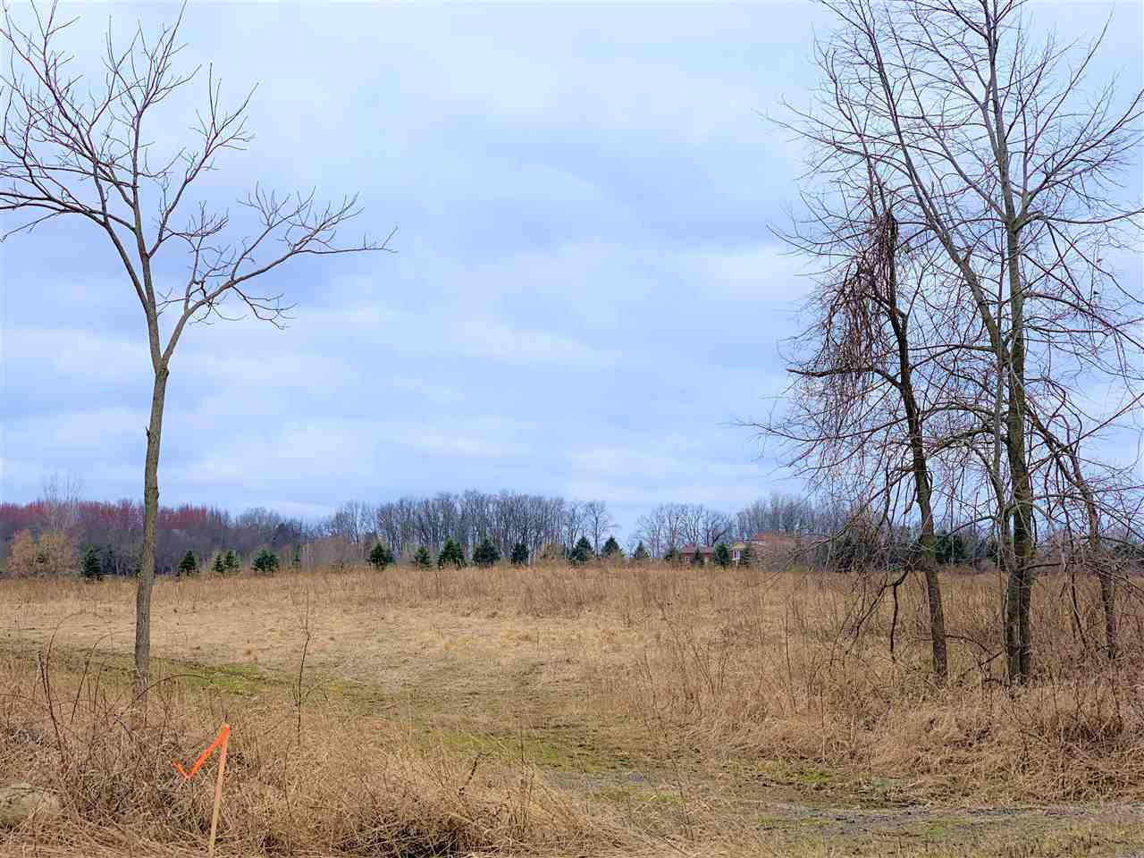 East Fitchburg Road Stockbridge, MI 49251 - Photo 3 of 5 Photo 3