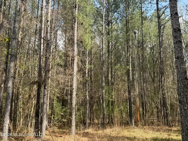 $150,000 | 0 Alfred Agee Road, Morton, MS 39117