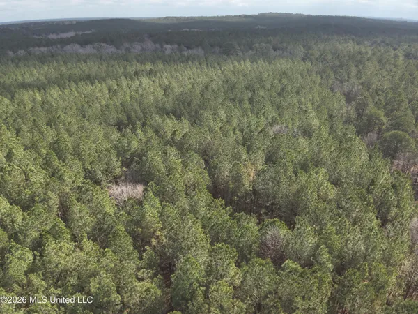 $150,000 | 0 Alfred Agee Road, Morton, MS 39117
