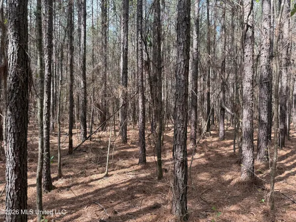 $150,000 | 0 Alfred Agee Road, Morton, MS 39117