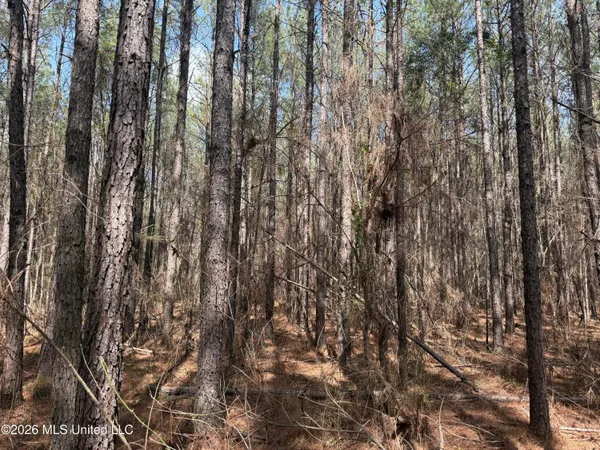 $150,000 | 0 Alfred Agee Road, Morton, MS 39117