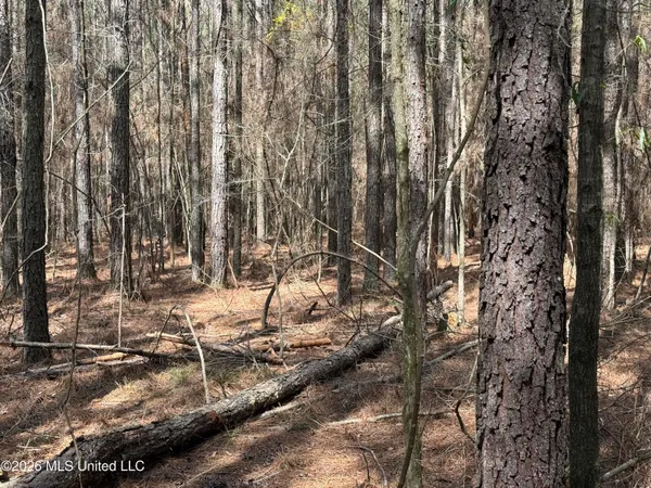 $150,000 | 0 Alfred Agee Road, Morton, MS 39117