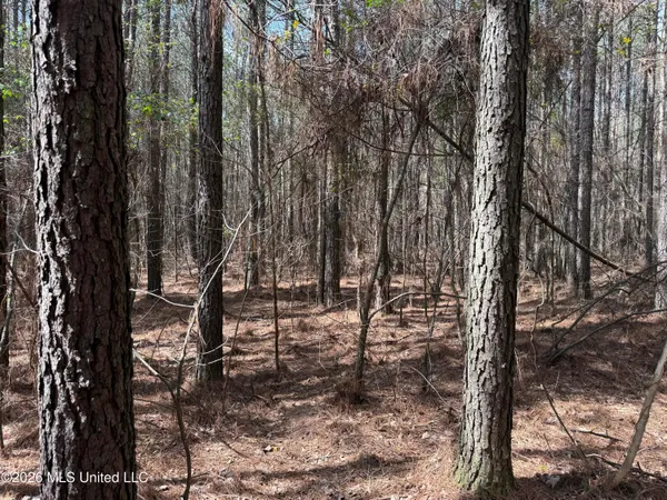 $150,000 | 0 Alfred Agee Road, Morton, MS 39117
