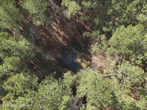 $150,000 | 0 Alfred Agee Road, Morton, MS 39117
