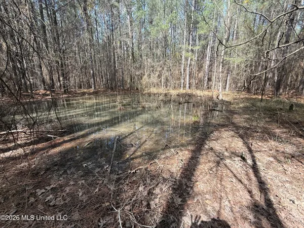 $150,000 | 0 Alfred Agee Road, Morton, MS 39117