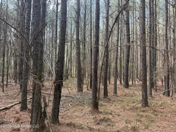 $150,000 | 0 Alfred Agee Road, Morton, MS 39117