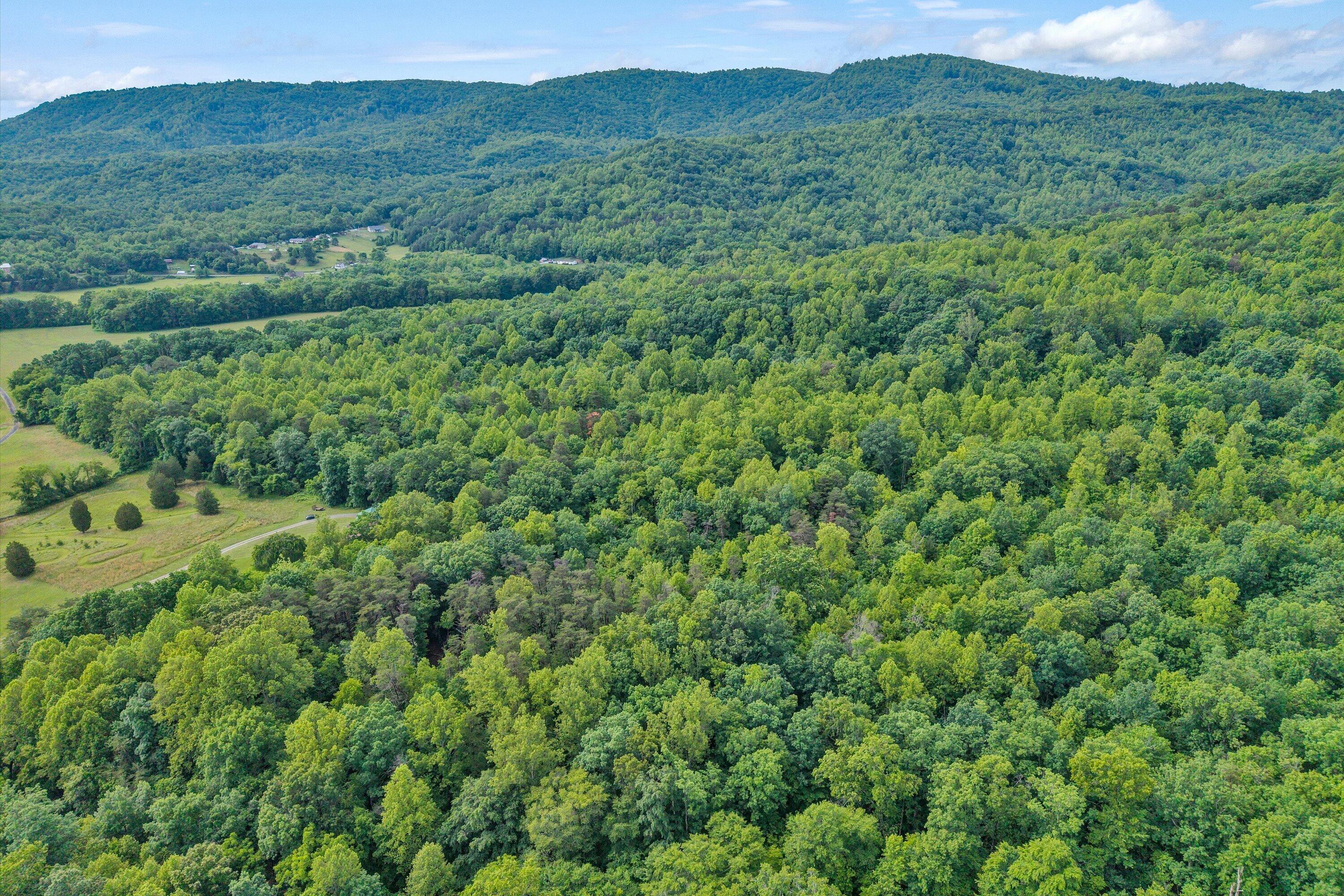 1550 Vernon Lane Blue Ridge, VA 24064 - Photo 44 of 45 43-SGP-20260527094707