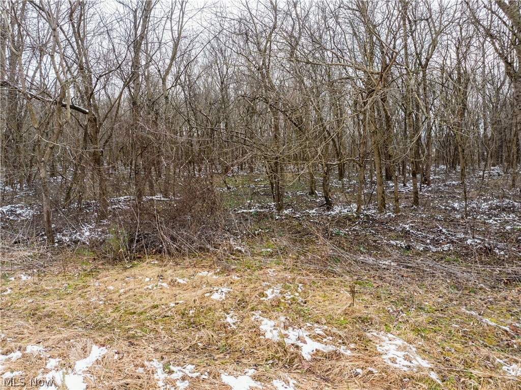 0 Raiders Road Frazeysburg, OH 43822 - Photo 5 of 22 View of local wilderness