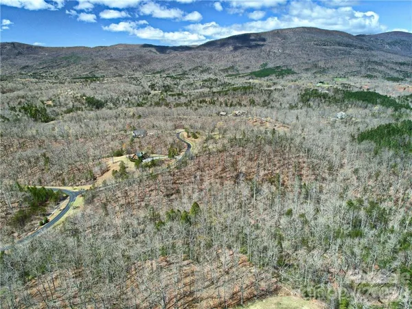a view of a dry yard