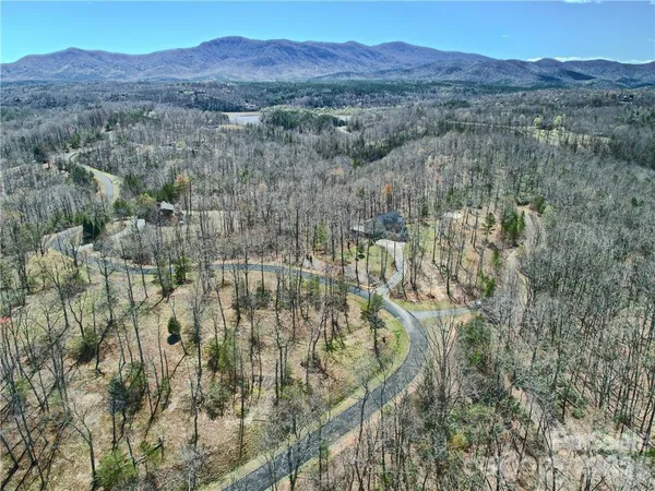 a view of a house with a mountain and a forest
