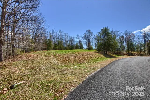 a view of a field with trees