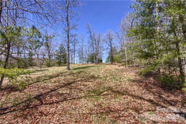 a view of a field with trees