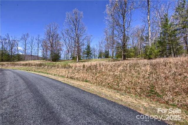a view of a yard with trees in the background