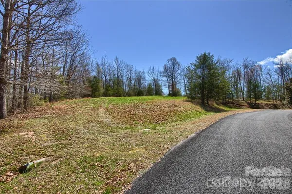 a view of a yard with trees in the background