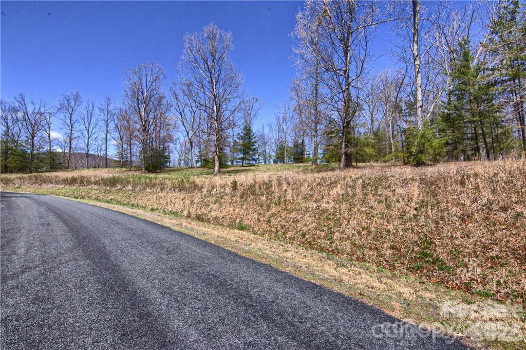 0 North Boundary Rd Mill Spring, Unit 51/52 Mill Spring, NC 28756 - Photo 17 of 27 a view of a yard with trees in the background