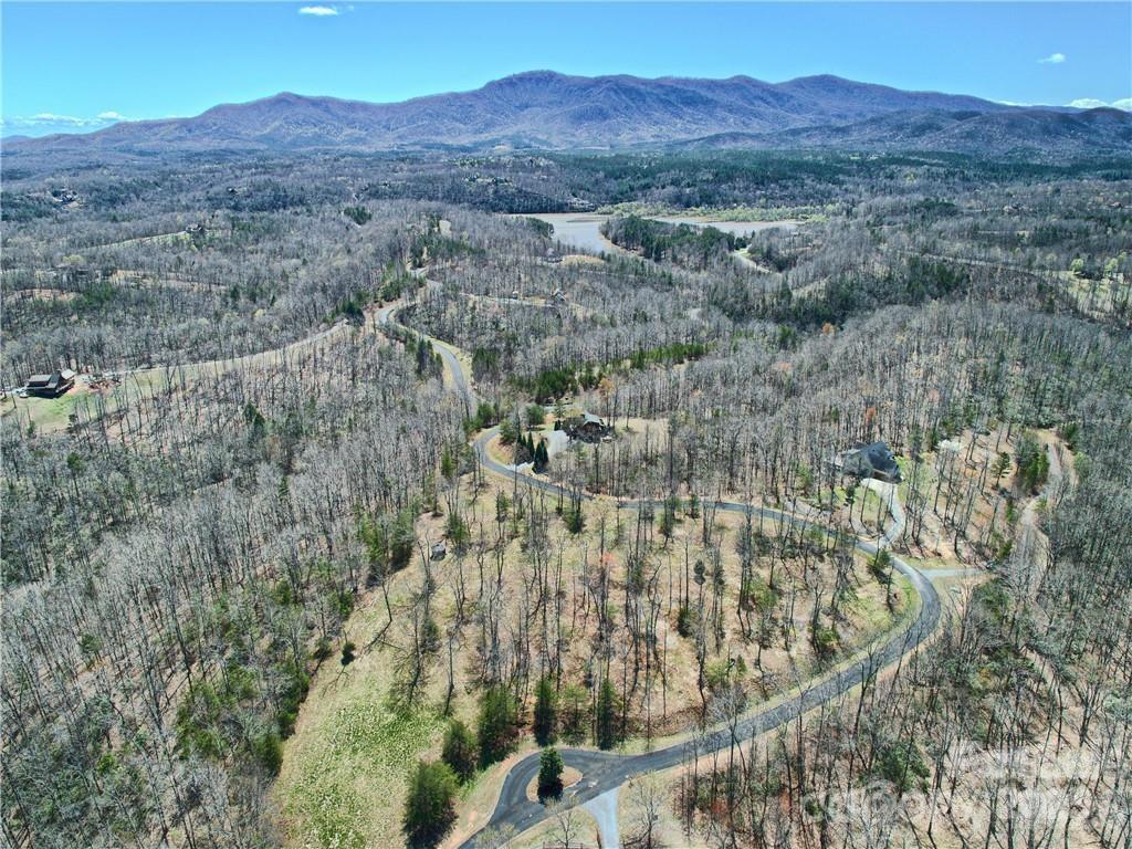 0 North Boundary Rd Mill Spring, Unit 51/52 Mill Spring, NC 28756 - Photo 18 of 27 an aerial view of residential house and green space