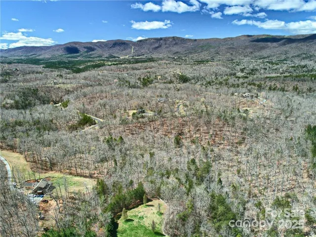 a view of a dry yard with lots of trees