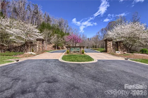 a view of a park with large trees