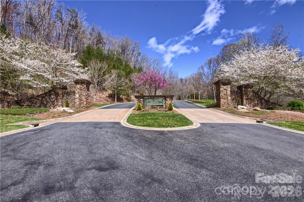 0 North Boundary Rd Mill Spring, Unit 51/52 Mill Spring, NC 28756 - Photo 2 of 27 a view of a park with large trees