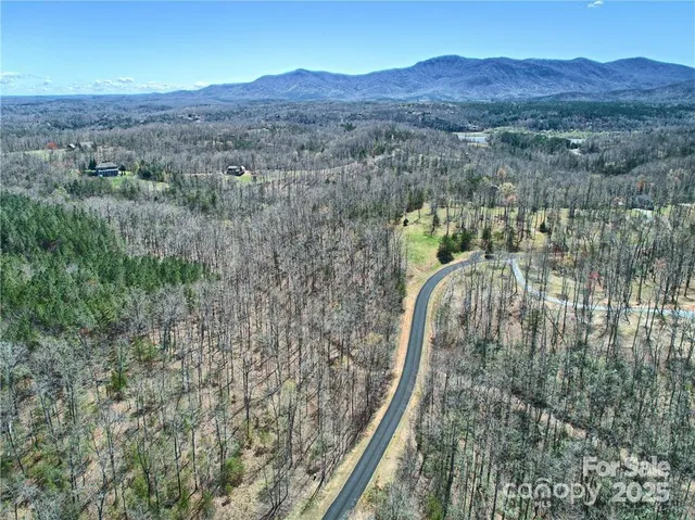 a view of a back yard