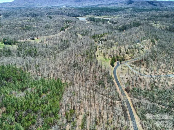 a view of a lush green hillside and a houses