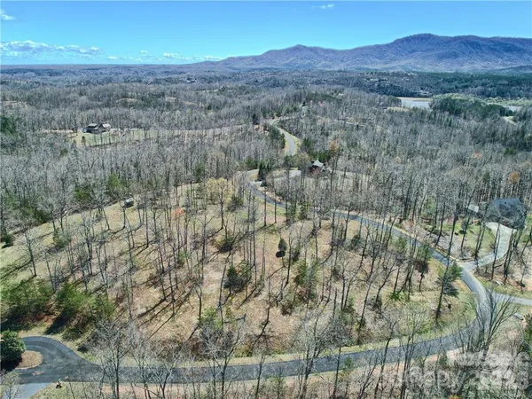 a view of a yard with trees