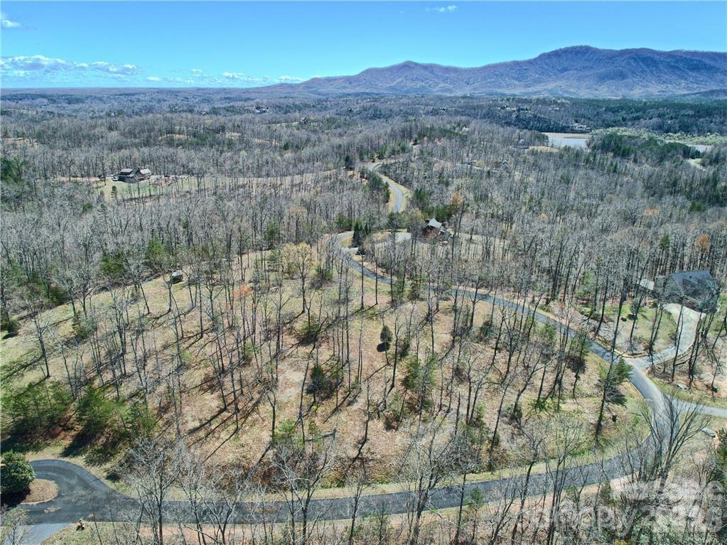 0 North Boundary Rd Mill Spring, Unit 51/52 Mill Spring, NC 28756 - Photo 24 of 27 a view of outdoor space and mountain view