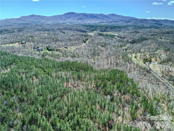 a view of a forest with a lake