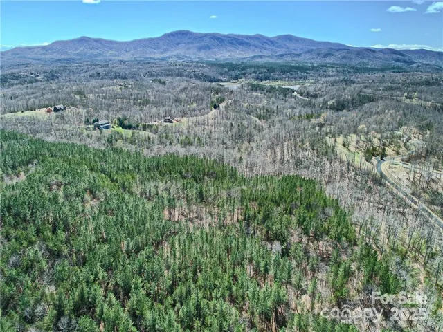 a view of a lush green hillside and a houses