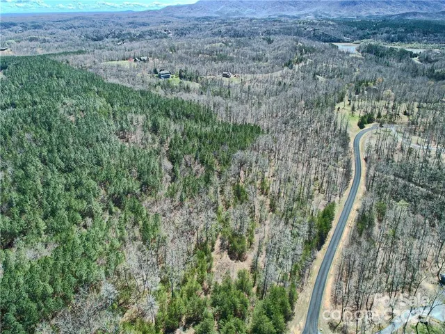 a view of a yard with trees
