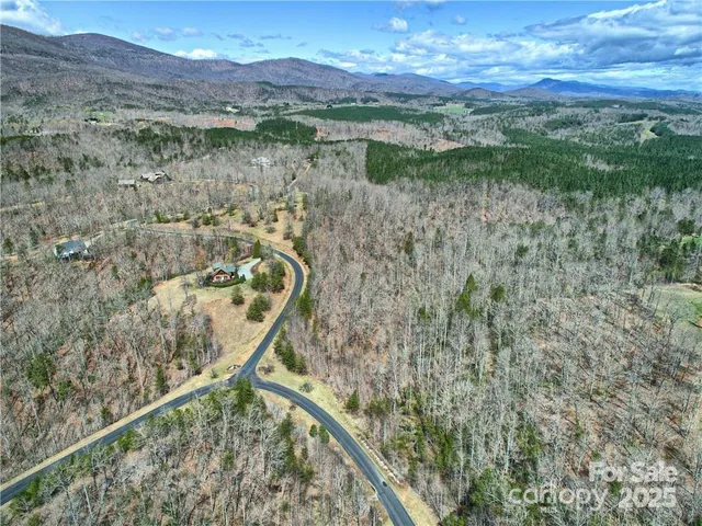 a view of a forest with a lake