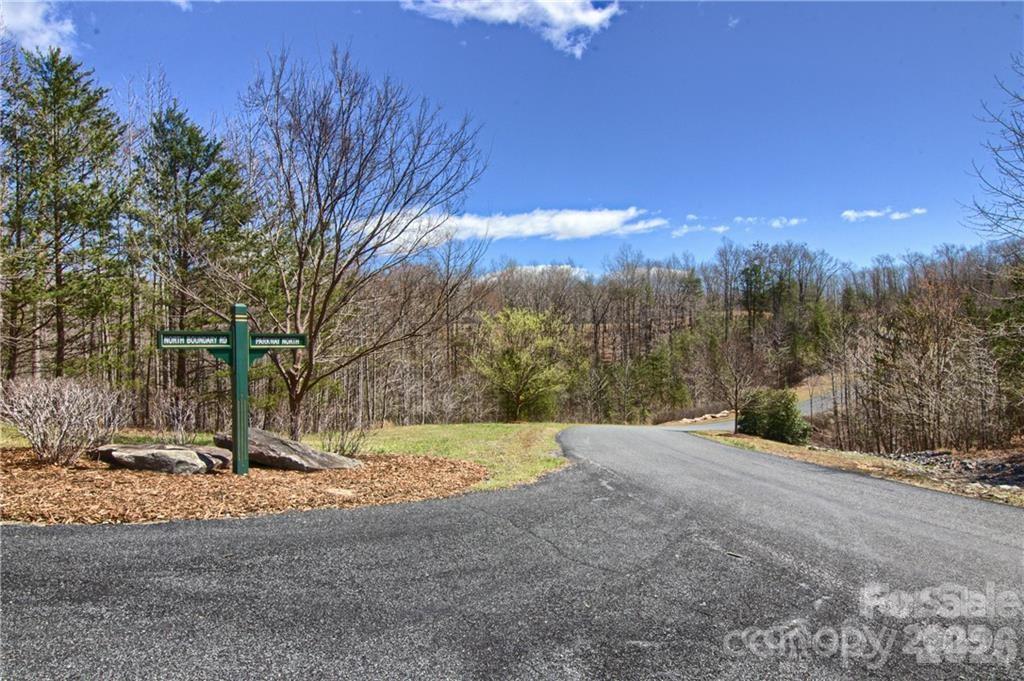 0 North Boundary Rd Mill Spring, Unit 51/52 Mill Spring, NC 28756 - Photo 3 of 27 a view of outdoor space with trees all around